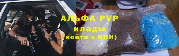 мяу мяу мука Елизово