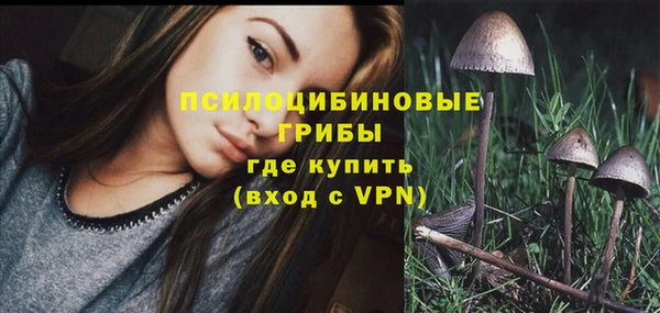 mdpv Елабуга