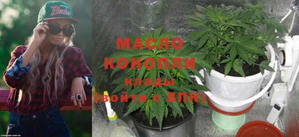 mdpv Елабуга