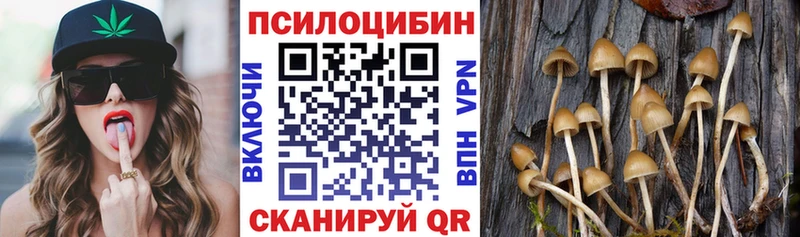 закладка  Октябрьский  Галлюциногенные грибы прущие грибы 
